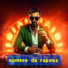 numero da raposa jogo do bicho